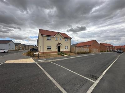 Picture 26